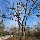 Foto de Friendly CS Meetup in Zanjan