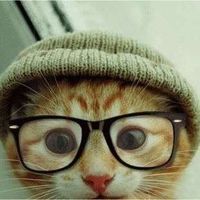 Fotos von Veronica Bascuñana Sierra