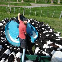 Josh Roberts的照片