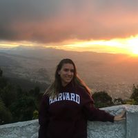 Fotos de Amanda Gome