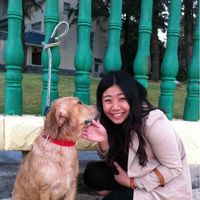 Zdjęcia użytkownika zhang yu