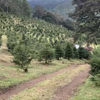 Hendrik Arevalo's Photo