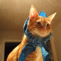 Le foto di Laurie-Anne Beausoleil