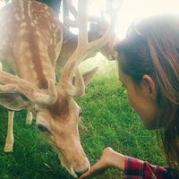 Fotos von Sylvia Martin Rodriguez