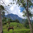 Peñas Blancas's picture