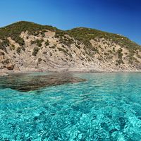 Rassell Agus's Photo