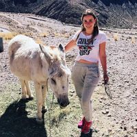 Febe Sirotko的照片