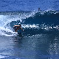 Boyan Bruijne's Photo