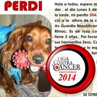 Fotos de Disa Celis Gómez