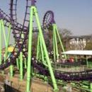 Boomerang Six Flags's picture