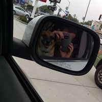 Brandon Sanchez's Photo