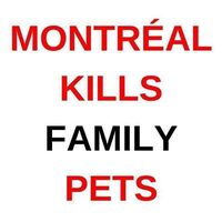 Le foto di Andy Horne