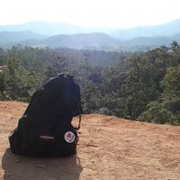 Roel Hoogendijk的照片