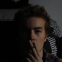 David Bungardt的照片