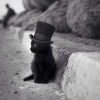 Arthur Bonneau's Photo