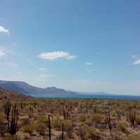 Amairany maldonado's Photo