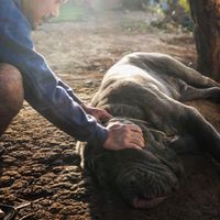 Takuya Nakao的照片