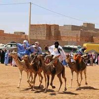 Hossin Nomad Camp Desert's Photo