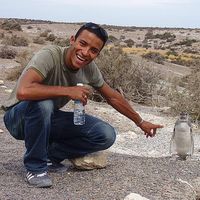 David Soares da Silva's Photo