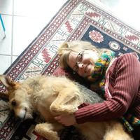 Melanie Stein的照片