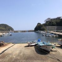 Tomoyo Nakae的照片