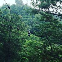 Фотографии пользователя Ludwig De León Salazar