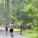 Vilnius Parkrun + Brunch's picture