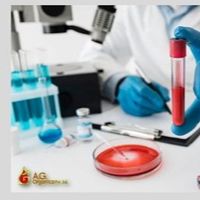 Arpana Singh's Photo