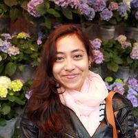 Rani Krisnamurthi's Photo