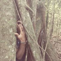 Kevin  Pistochini's Photo