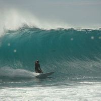 liam Marshall's Photo