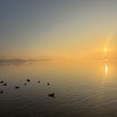 Slow Walk, Deep Breaths at Rose Garden 🌿's picture