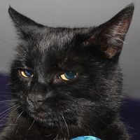 Stphn Torres Moro's Photo