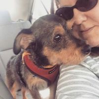 Heather Gray Ferreyra's Photo