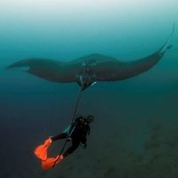 Roberto Ochoa的照片