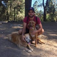 Alejandro Bucio's Photo