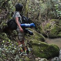 Csar Mellizo的照片