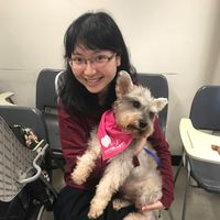 Fotos von Emily Tang