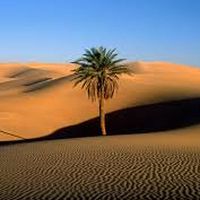 mustapha dahmani's Photo