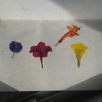 Violeta Sainz's Photo