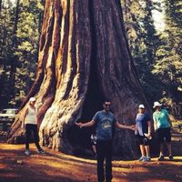 Photos de Christopher R