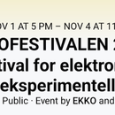 EKKO Festival 's picture