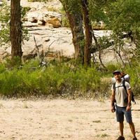 Rohan Rajpal的照片