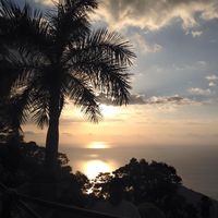 Steve Tineo的照片