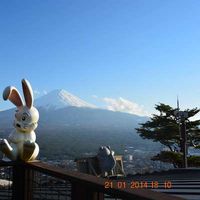 Fotos de Maia STEFFAN