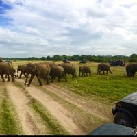 Rumesh Bandara's Photo