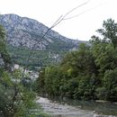 Wild Camping In Montenegro's picture