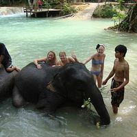 Lauren  Fenn's Photo