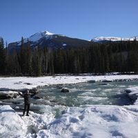 Takuya Kodama's Photo