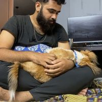 Aditya Bharti的照片